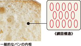 一般的なパンの内相《網目構造》